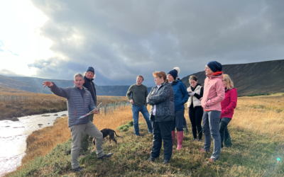 River restoration visit for local businesses
