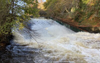 Culter dam study could help community and nature
