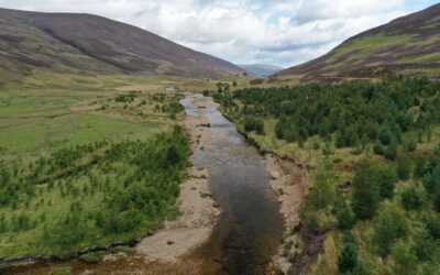 River Dee Trust seeks new Trustee