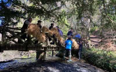 River Dee Guardians Serica Energy Support European Eel conservation